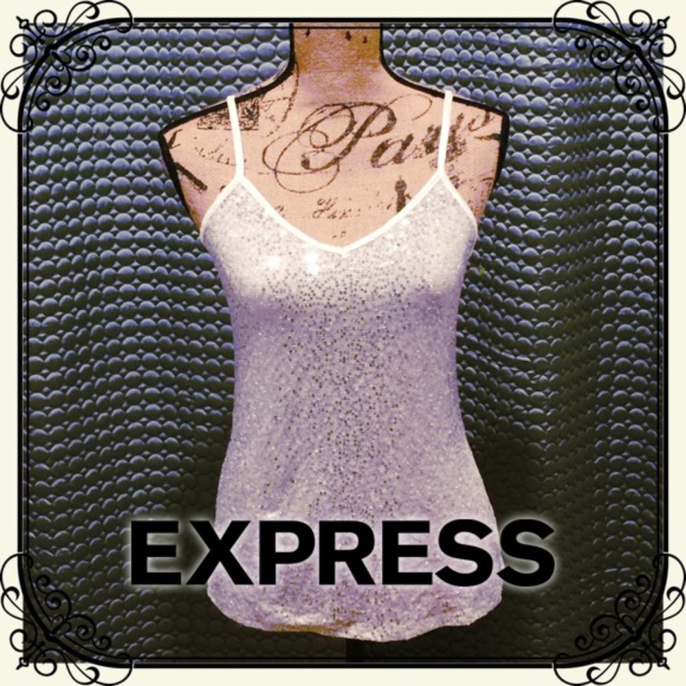 Silver sequin tank top from Express